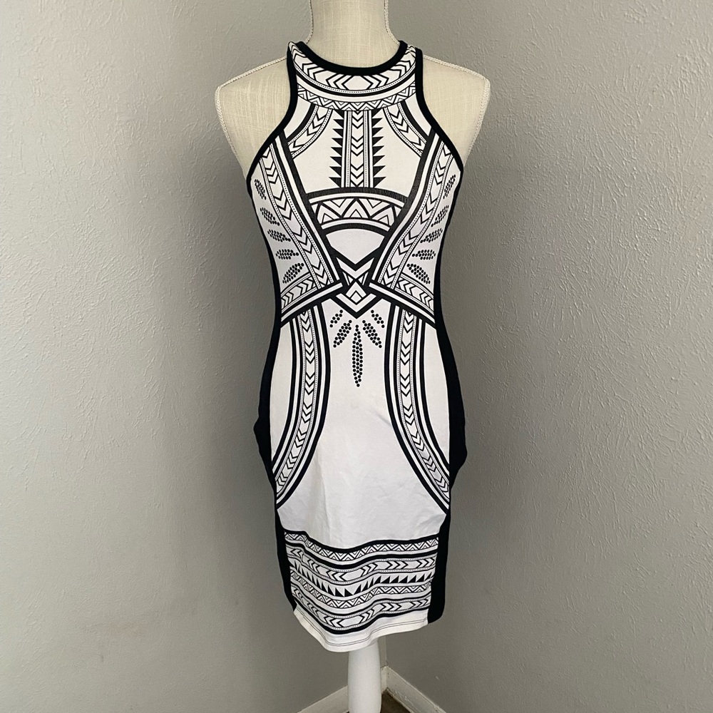 Express Bodycon dress